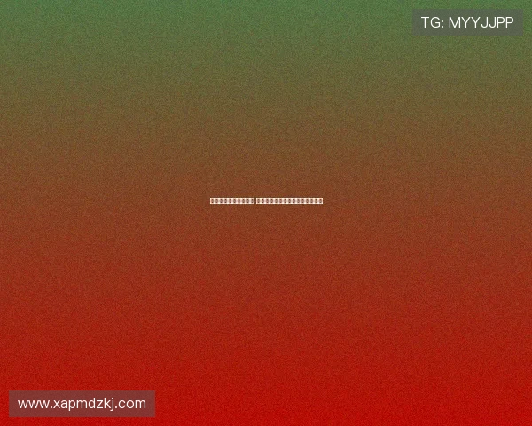 曼城豪华阵容深度分析 球星搭配与战术布局展现全新面貌